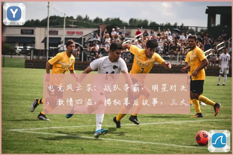 电竞风云录：战队争霸，明星对决，激情四溢，揭秘幕后故事，三大看点不容错过