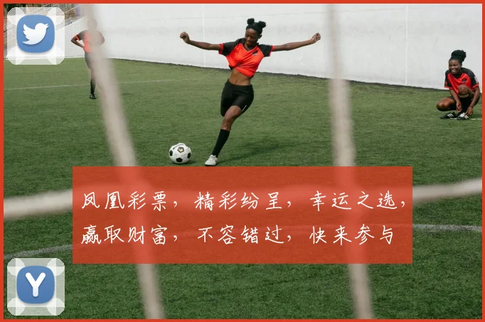凤凰彩票，精彩纷呈，幸运之选，赢取财富，不容错过，快来参与